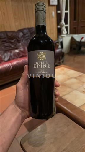 Dolina Loare Belle Epine Neleten.