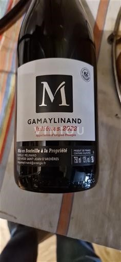 Víno Rouge sec Gamaylinand 2022 Francie Beaujolais Juliénas AOC