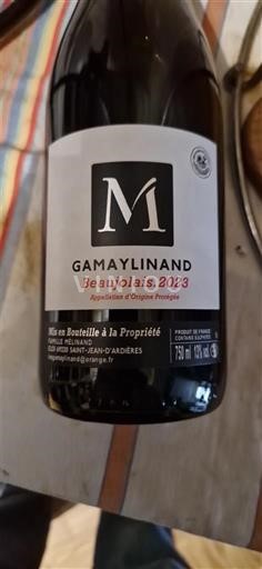 Wines Rouge sec Gamaylinand 2023 France Beaujolais AOC