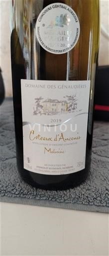 Dolina Loare Coteaux d'Ancenis Domaine S Génaudières 2019