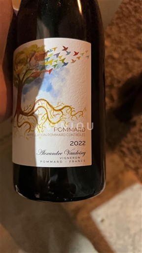 Borgoña Pommard Alexandre Vaudoisey Noizons 2022