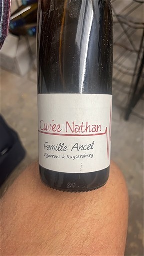 Alsace Famille Ancel Nathan 2020