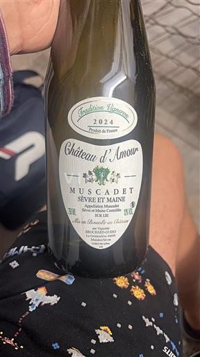 Loiren laakso Muscadet-sèvre-et-maine Château Amour 2024