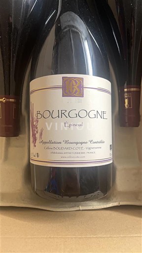 Bourgogne Bourgogne Epineuil Céline Boudard-Coté Épineuil 2020