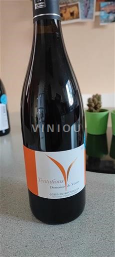 Rhônen laakso Côtes-du-rhône Domaine La Vigne T'ntations 2019