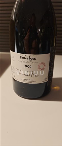 Bourgogne Chablis Premier Cru Domaine Pattes Loup Butteaux 2020