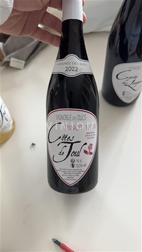 Lorraine Côtes-de-toul Vignoble des Ducs 2022