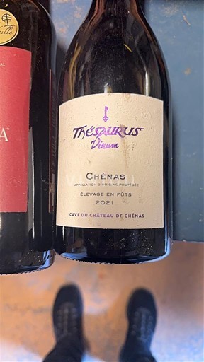 Beaujolais Chénas Château Cave du Château de Chénas Thesaurus Vicum 2021