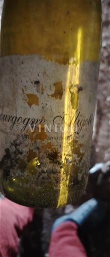 Burgundi Bourgogne Aligoté X Ei vuosikertaa