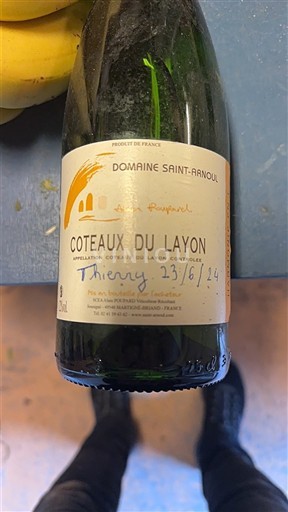 Rượu vang Blanc moelleux Les Pampres Domaine Saint-Arnoul 2018 Pháp Thung lũng sông Loire Coteaux-du-layon AOC