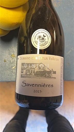 Dolina Loare Savennières Domaine S Deux Vallées 2023