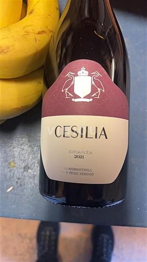 Murcia Alicante Cecilia Crianza 2021