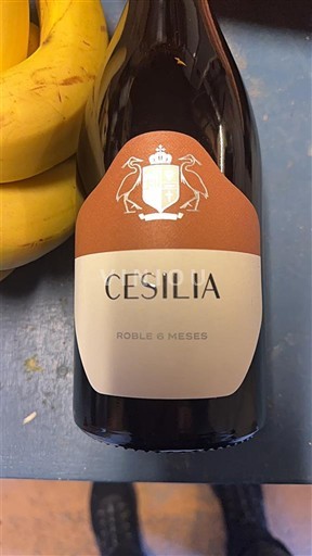 Murcia Alicante Cecilia Roble 6 Meses Ohne Jahrgang