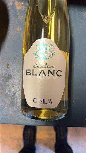 Murcia Alicante Cecilia Blanc 2024