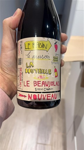 Beaujolais Beaujolais Nouveau Steeve Charvet Le raisin, le presser, la bouteille, le Beaujolais Nouveau 2025