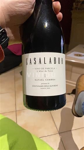 Comunitatea Valenciană Valencia Rafael Cambra Casalabor 2023