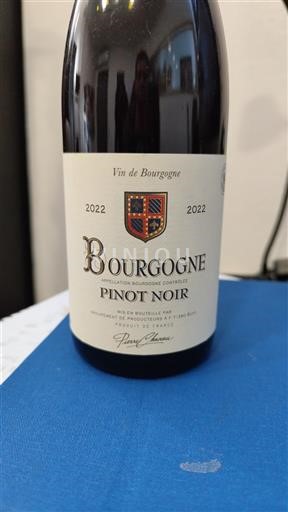 Burgundy Pierre André 2022