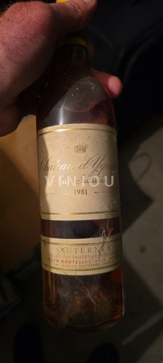 Bordeaux Sauternes Premier Cru Château Yquem 1981