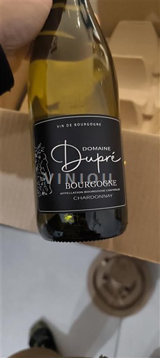 Burgundi Bourgogne Domaine Pré 2023