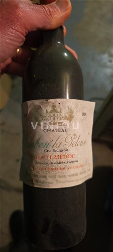 Bordeaux Haut-Médoc Château Cambon La Pelouse 1989