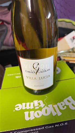 Languedoc Minervois Domaine Cailhol Gautran Villa Lucia Ikke årgangsbestemt