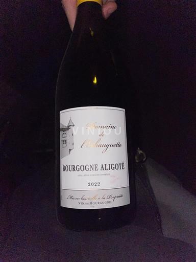 Burgundi Bourgogne Aligoté Domaine Blanquetté 2022