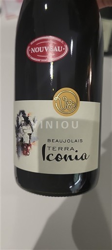 Beaujolais Beaujolais Nouveau Terra Iconia 2025