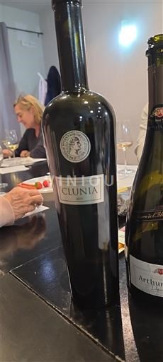 Castilien og León Ribera del Duero Clunia 2019