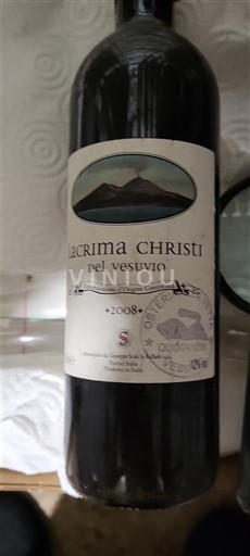 Kampánie Vesuvio Lacryma christi del vesuvio 2008
