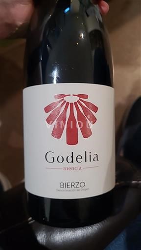 Castilië en León Bierzo Godelia Mencía 2015