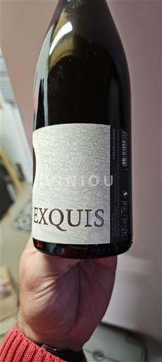 Rượu vang Rouge sec Exquis JMVB Non millésimé Pháp Bordeaux Vin de France