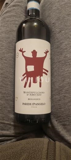 Abruzzo Wines Montepulciano d'Abruzzo Paride D'Angelo 2021