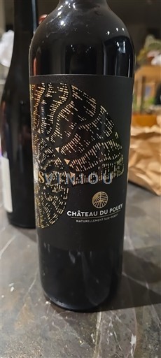 Sudoeste Madiran Château Pouey 2021