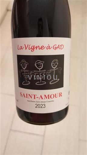 Beaujolais Saint-Amour La Vigne à GAD 2023