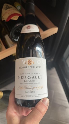 Borgogna Meursault Bouchard Père & Fils Les Clous 2020