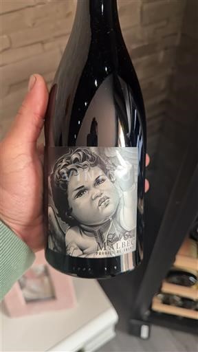 Veneto Venetien Ornella Bellia Malbec Prohibido Icke årgångsbetecknad