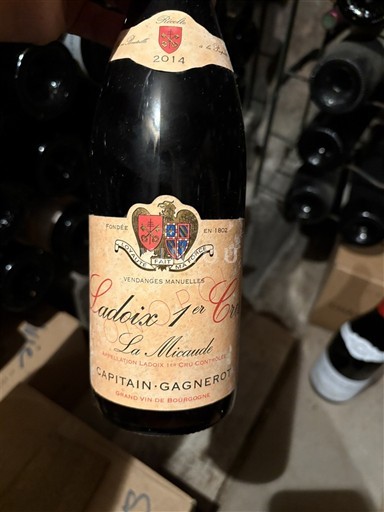 Bourgogne Ladoix Premier Cru Capitain-Gagnerot La Micaude 2014