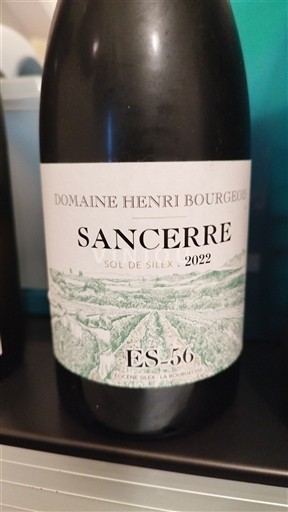 Loire-dalen Sancerre Henri Bourgeois ES-56 Sol de Silex 2022