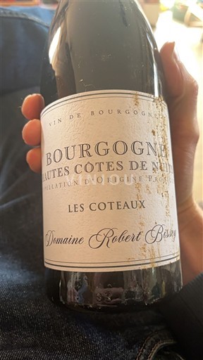 Borgogna Non specificato Domaine Robert Bissy Les Coteaux 2022