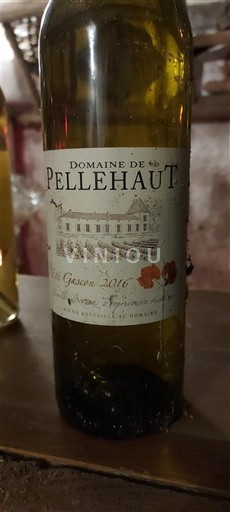 South West Côtes de Gascogne Domaine Pellehaut l'Été Gascon 2016