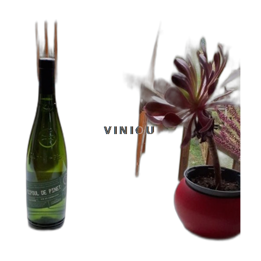 Vine Blanc sec Castelnau Non millésimé Frankrig Languedoc Picpoul-de-Pinet AOC