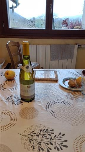 Burgundi Mâcon ja Mâcon-kylät Domaine S Vieux Marronniers 2023