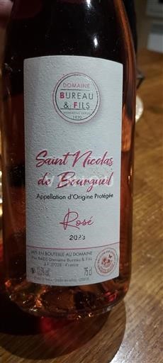 Valle del Loira Saint-Nicolas-De-Bourgueil Domaine Bureau & Fils 2023