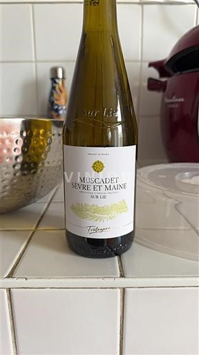 Loire-dalen Muscadet-Sèvre-et-Maine Fabrique Ikke årgangsbestemt