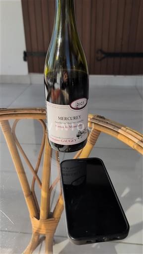 Borgoña Mercurey Premier Cru Domaine Gagey Clos des Myglands 2023