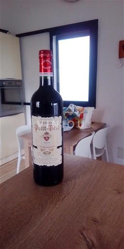 Bordéus Château Petit Bert 2019