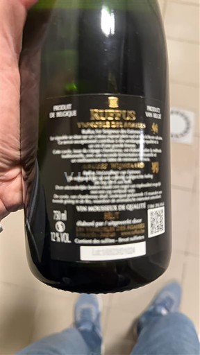 Wallonie Không được chỉ định Ruffus Không niên vụ