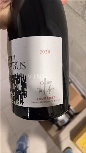 Languedoc Faugères Ollier Taillefer Castel Fossibus 2020