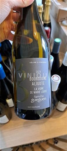Burgundy Bourgogne Aligoté Famille Gueguen La Vigne de Marie Louise 2024