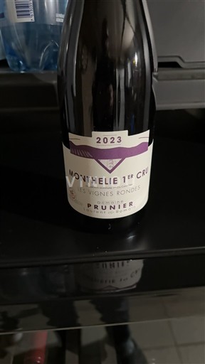 Burgundsko Monthélie Premier Cru Domaine Prunier Les Vignes Rondes 2023
